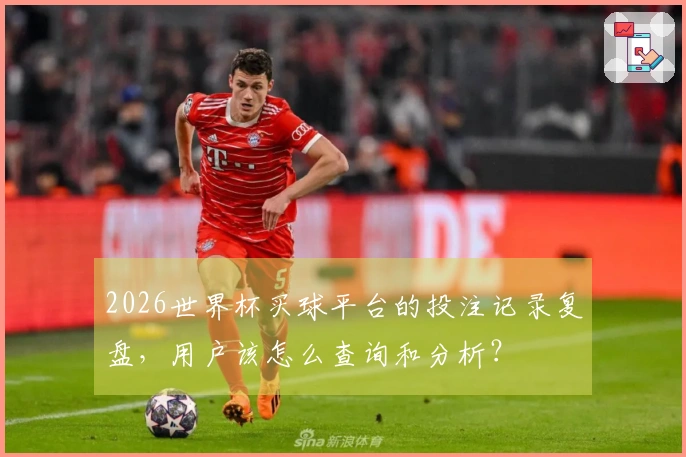 2026世界杯买球平台的投注记录复盘，用户该怎么查询和分析？