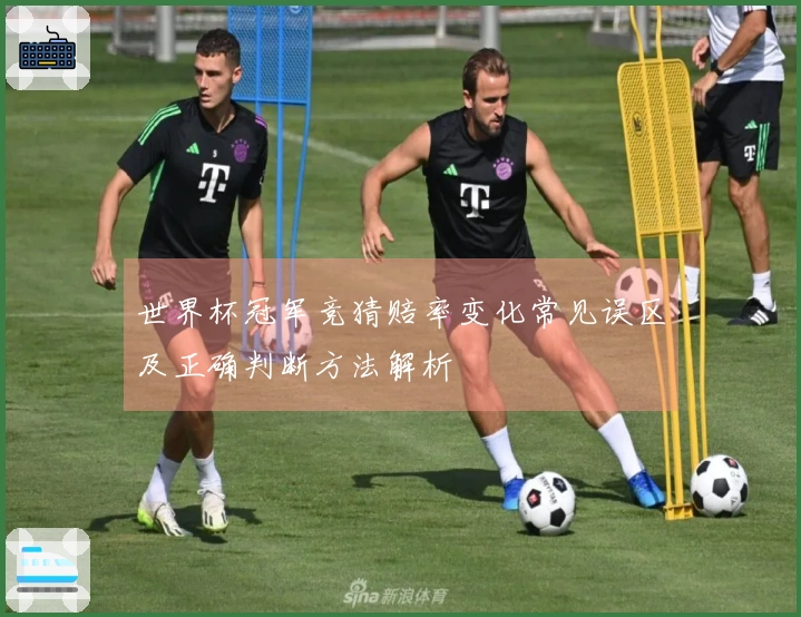 世界杯冠军竞猜赔率变化常见误区及正确判断方法解析