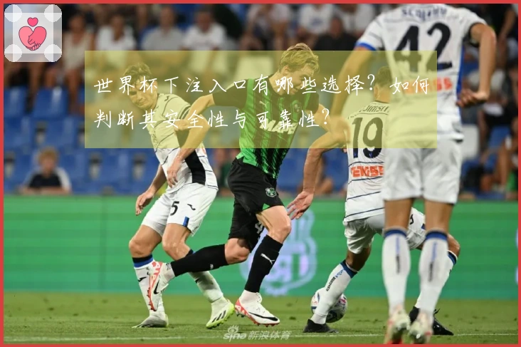 世界杯下注入口有哪些选择？如何判断其安全性与可靠性？
