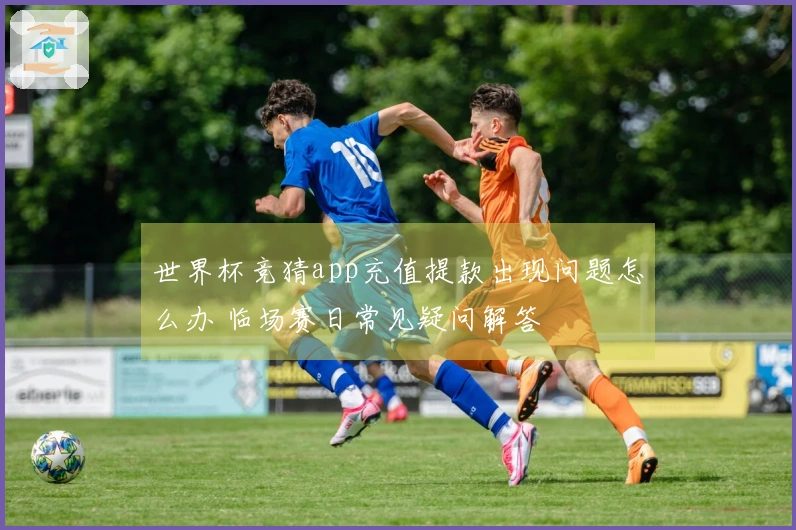 世界杯竞猜app充值提款出现问题怎么办 临场赛日常见疑问解答