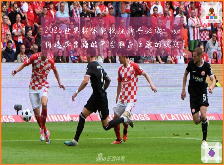 2026世界杯体彩投注新手必读：如何选择靠谱的平台和应注意的规则