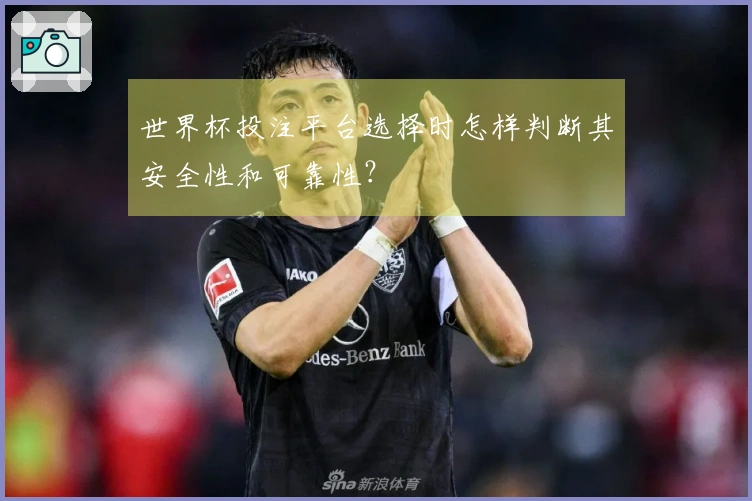 世界杯投注平台选择时怎样判断其安全性和可靠性？