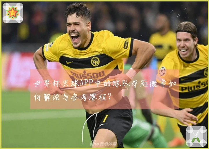 世界杯买球APP中的球队夺冠概率如何解读与参考赛程？