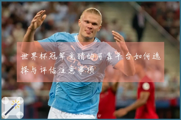 世界杯冠军竞猜的可靠平台如何选择与评估注意事项