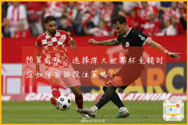 预算有限，选择烽火世界杯竞猜时应如何安排投注策略？