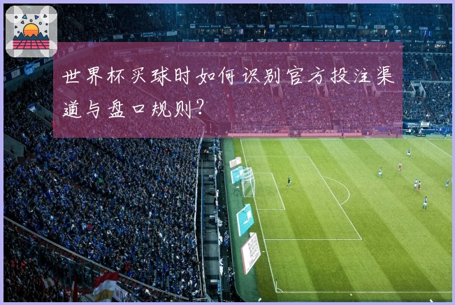 世界杯买球时如何识别官方投注渠道与盘口规则？