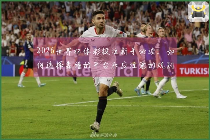 2026世界杯体彩投注新手必读：如何选择靠谱的平台和应注意的规则