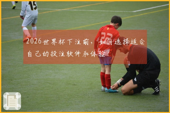 2026世界杯下注前，如何选择适合自己的投注软件和体验？