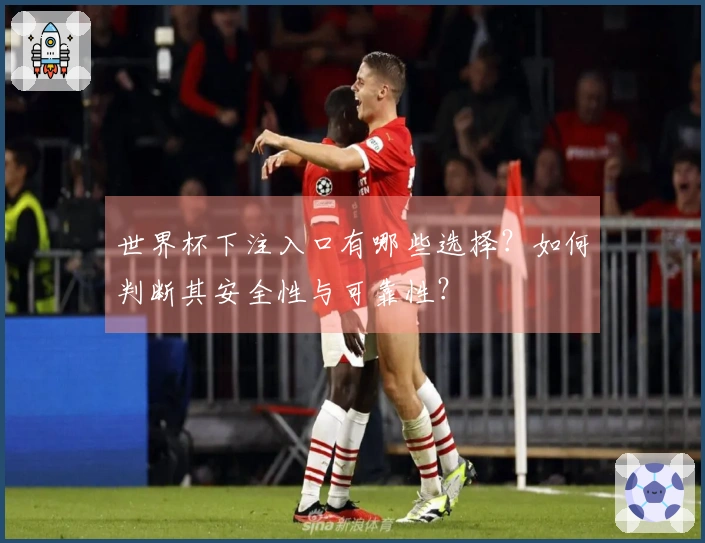 世界杯下注入口有哪些选择？如何判断其安全性与可靠性？