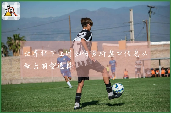 世界杯下注时如何分析盘口信息以做出明智选择