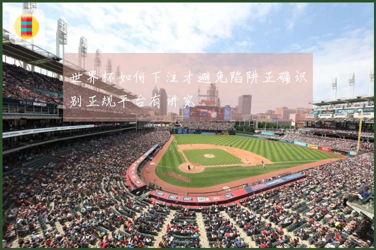 世界杯如何下注才避免陷阱正确识别正规平台有讲究