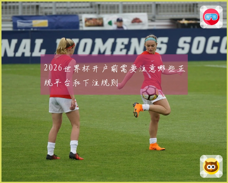 2026世界杯开户前需要注意哪些正规平台和下注规则