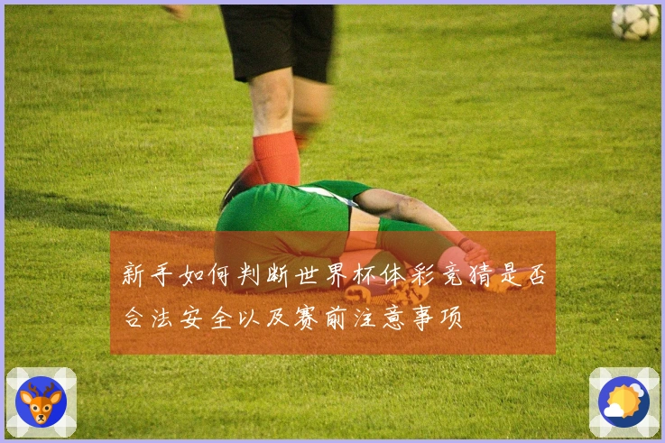 新手如何判断世界杯体彩竞猜是否合法安全以及赛前注意事项