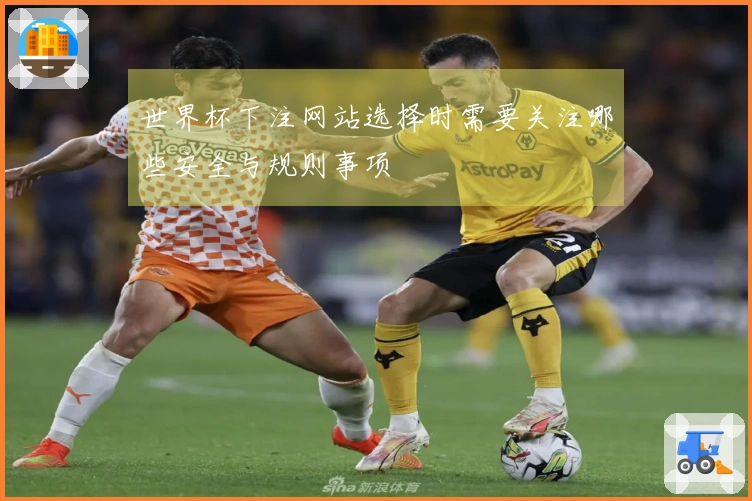 世界杯下注网站选择时需要关注哪些安全与规则事项