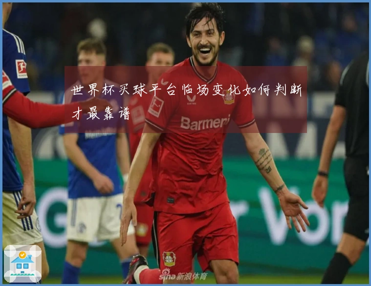 世界杯买球平台临场变化如何判断才最靠谱