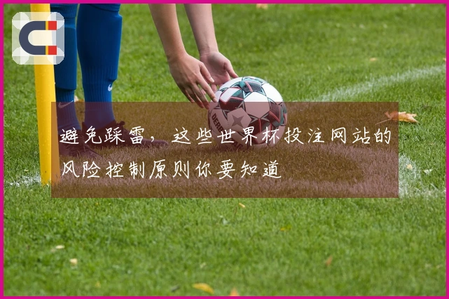 避免踩雷，这些世界杯投注网站的风险控制原则你要知道